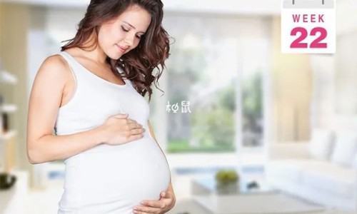减肥晚上几点运动最好-【减脂晚上几点停止进食】晚上几点消耗脂肪最好 - 晚上几点消耗脂肪网